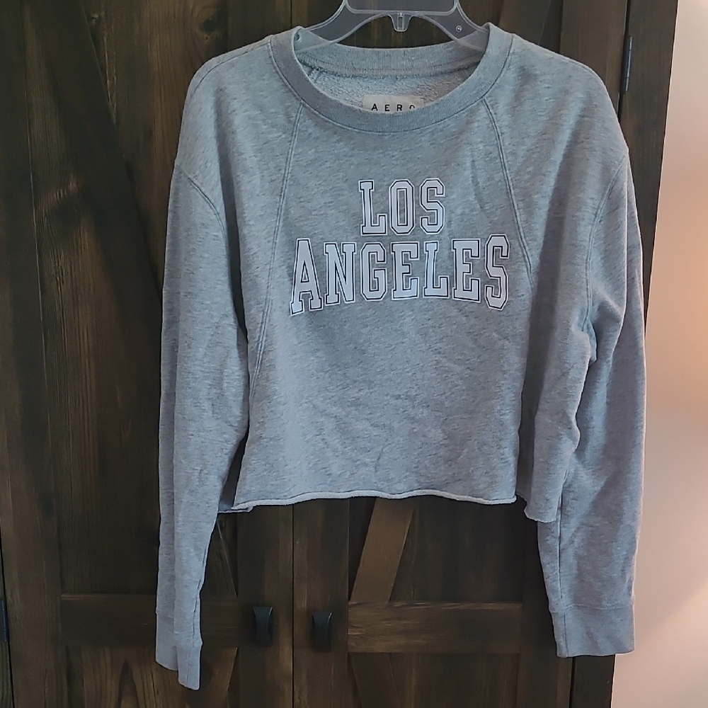 Gray Boxy Cropped Long Sleeve Hoodie